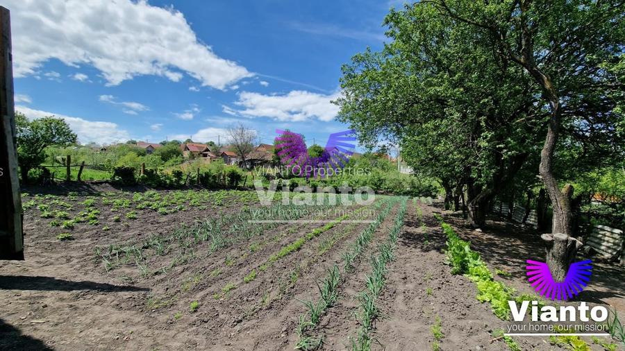 Casa Individuala 4 Camere cu Teren 2984 mp Sat Nou-Rosia - 6