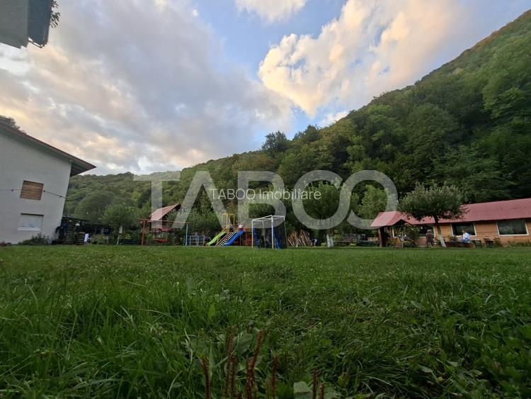 Spatiu de vanzare in Valea Macesului judel Valcea iesire la Lotru - 47