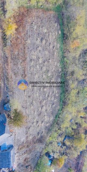 Teren de vânzare 11.766 mp – Costișa, județul Neamț