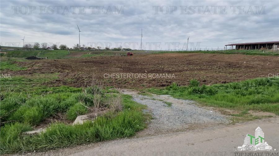 Teren intravilan 5.600 mp în Pantelimon, Constanta ideal investitie sau construc