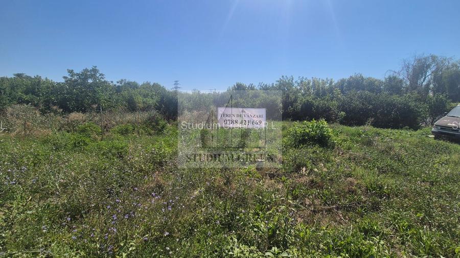 Proprietar vand teren Șoseaua Giurgiului 23.000 mp - 5