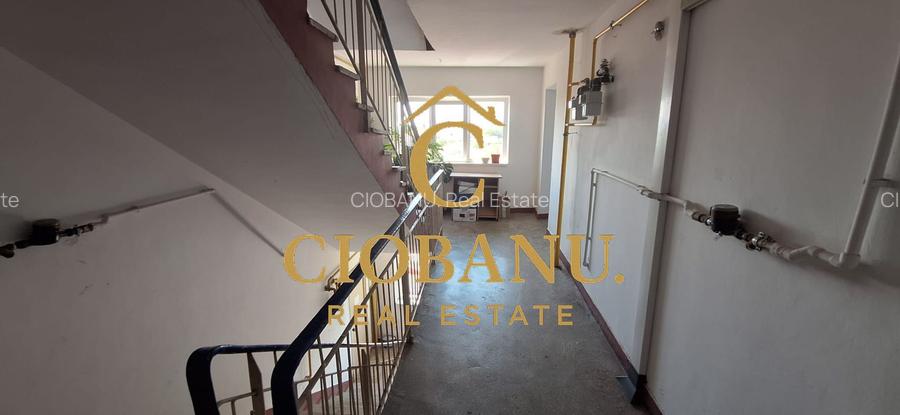 Apartament 2 camere de închiriat Ultracentral, Lângă Gradina Botanica - 11