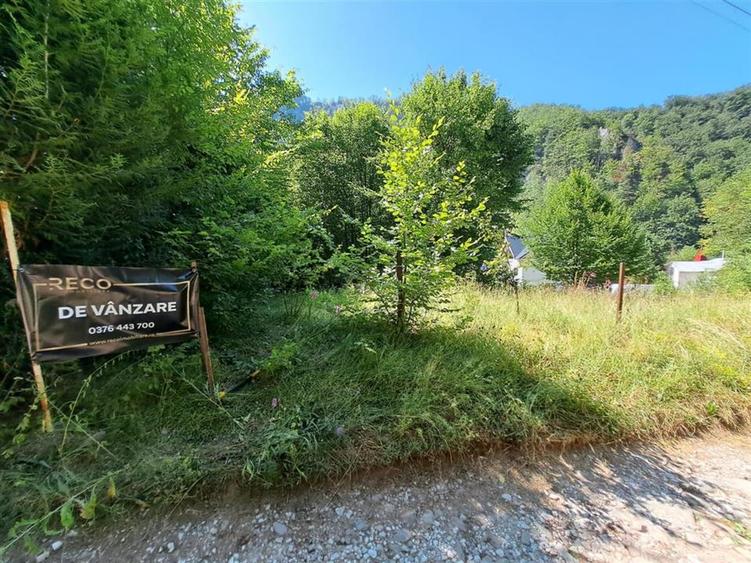 RECO  Casa Boga