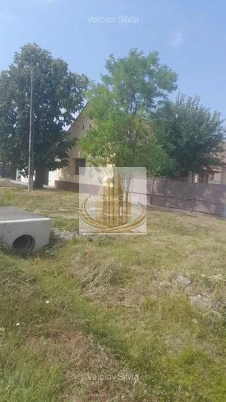 Casă individuală Dudeștii Noi | 2.526 mp teren | Pivniță