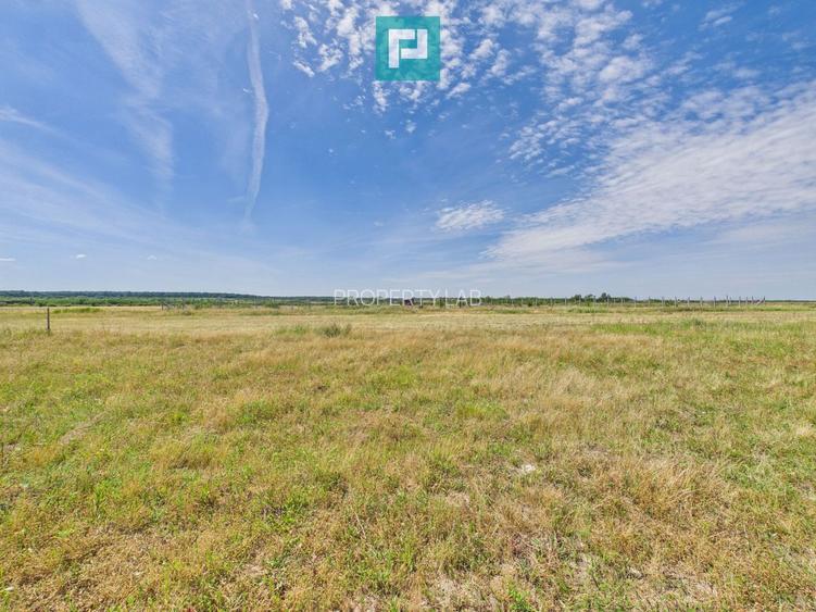 Teren intravilan 809 mp în Cihei - 4