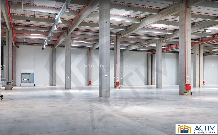 Hale de închiriat în Eli Park Bacău - 3