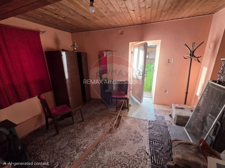 Gospodarie de vanzare in Giulvaz, judetul Timis - 21