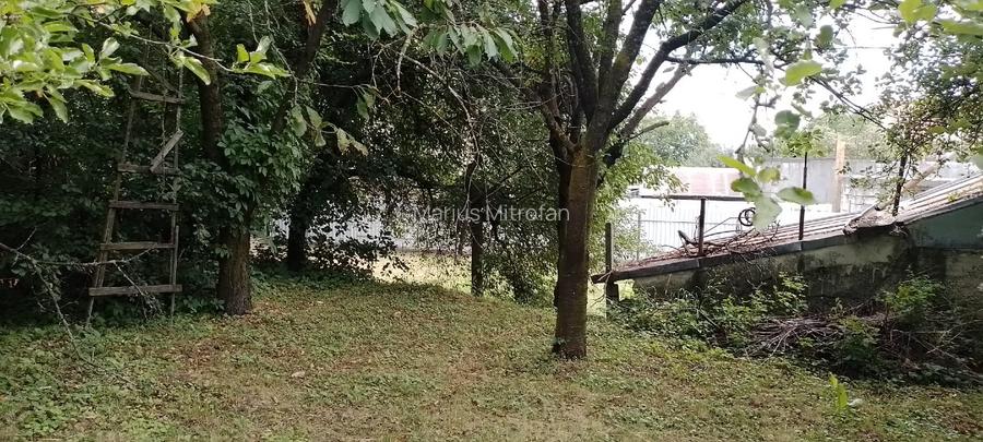 PRIVAT 844mp cu Casa si Utilitati - Zamca, Ideal pentru Locuinta sau Investitie - 5