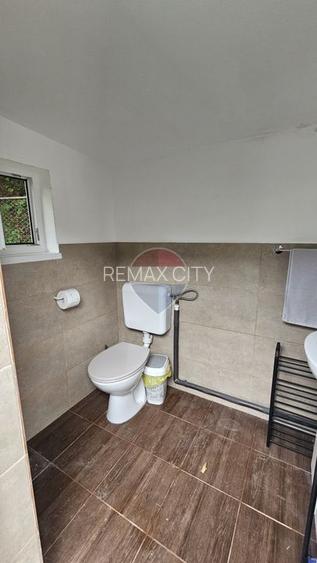 Căsuță de vacanță de vânzare – comuna Alexandru cel Bun, Neamț - 17