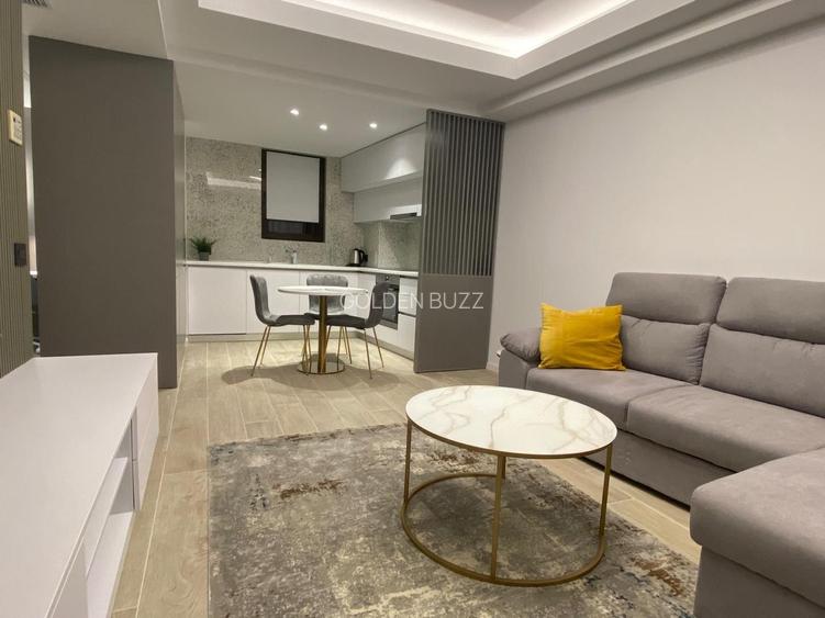 Apartament spatios de 2 camere - Herastrau - 3
