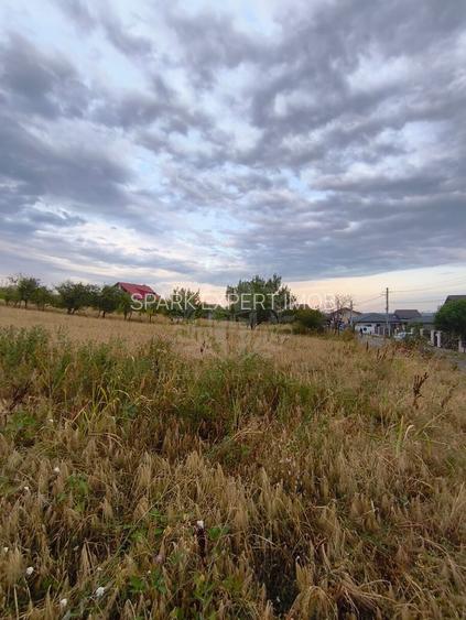 TEREN PAULESTI//10.000 MP - 3