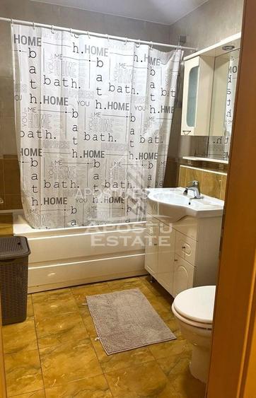 Apartament cu 2 camere de inchiriat in zona Aradului Timisoara - 6