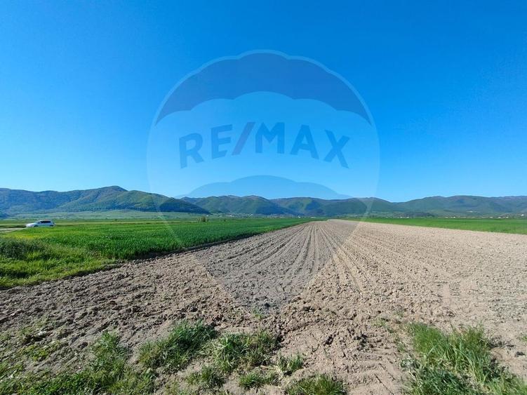 Panoramă deasupra lumii Teren de poveste Gura Râului, zona Peste Grui
