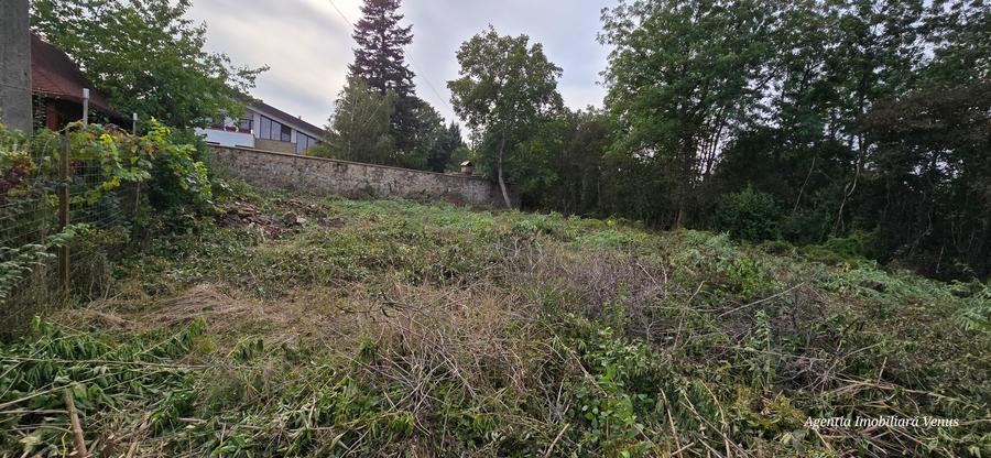 Teren cu suprafata de 1500mp mai sus de Casa Lux