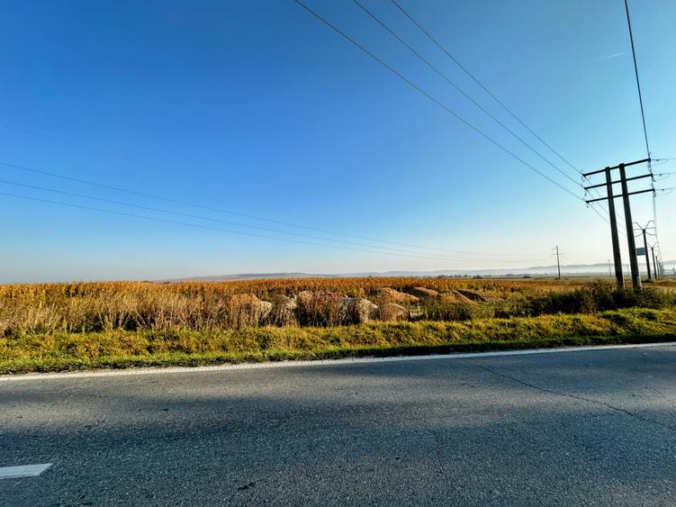 Vanzare teren 10.000mp Calea Surii Mici, direct de la proprietar!