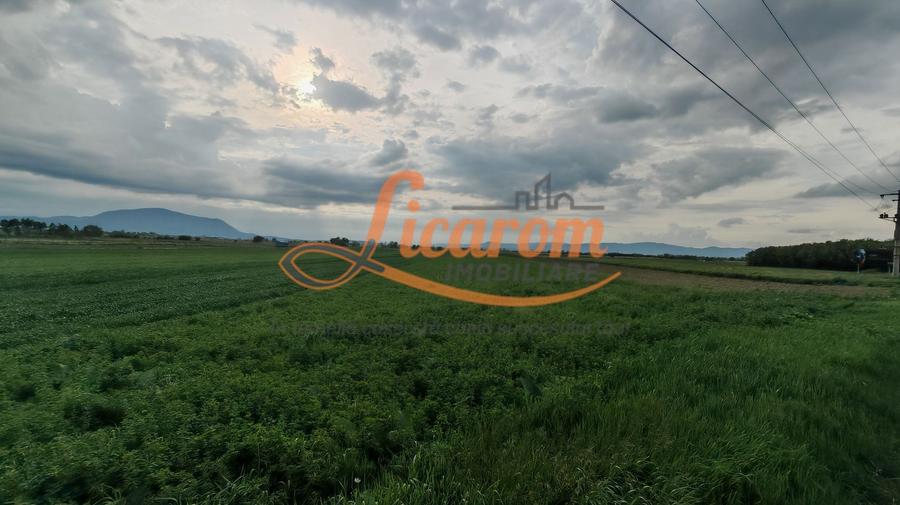 Teren Stupini Calea Feldioarei 4600 mp,front asfalt-DN13