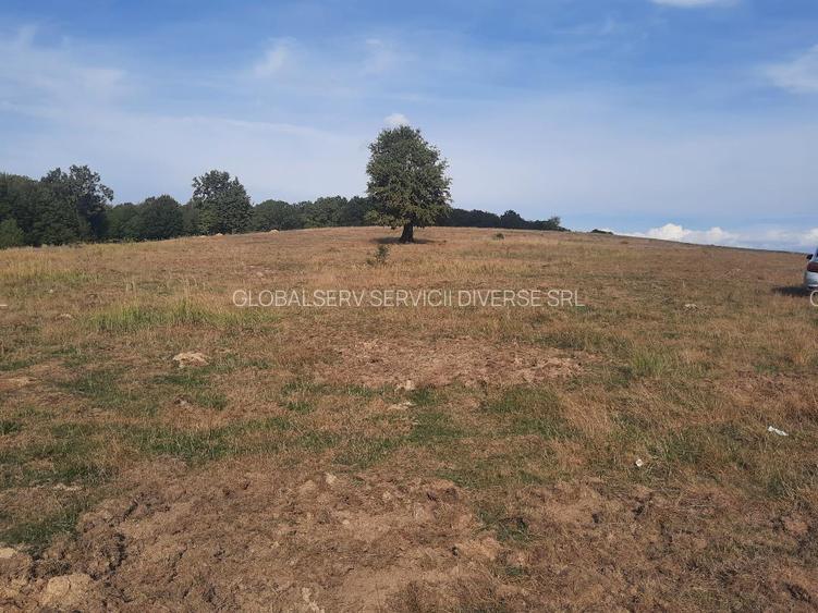 FARA COMISIOANE TEREN parcelabil 10756mp linga padure Comuna Dumbravita Brasov - 10