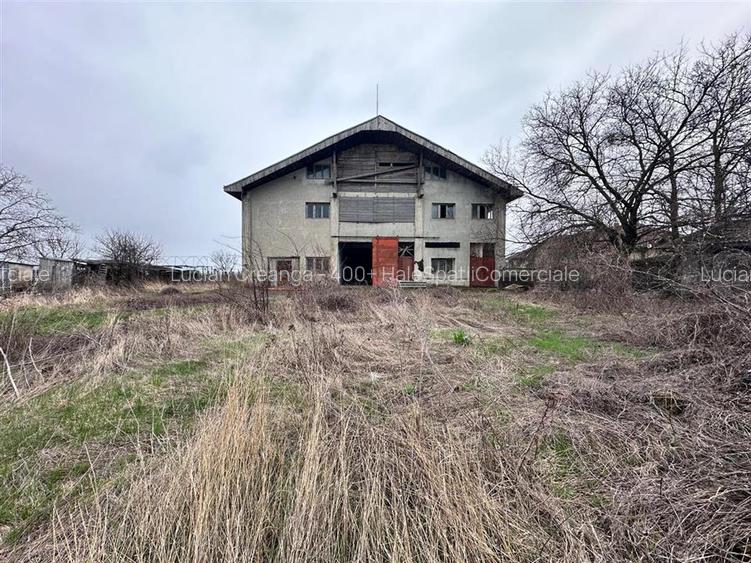 Hala, spatiu comercial, vad, de la 423mp la 1744mp, Vama Albita - 18