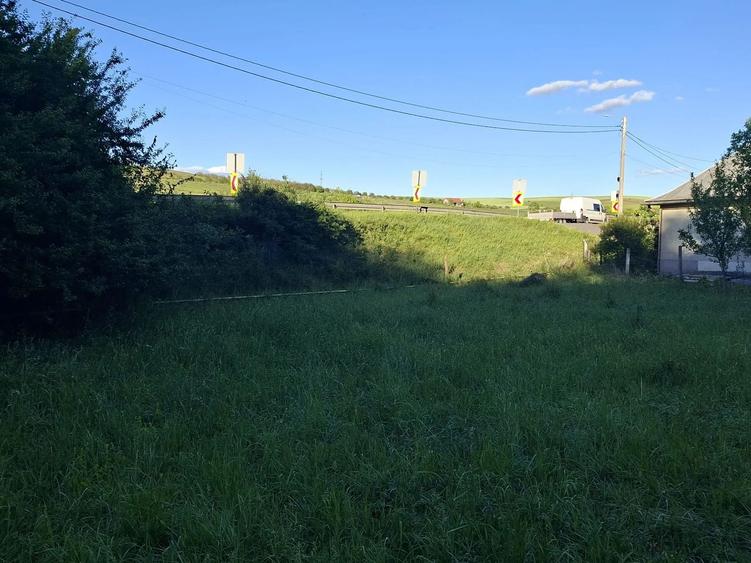 Teren de vanzare in Martinesti