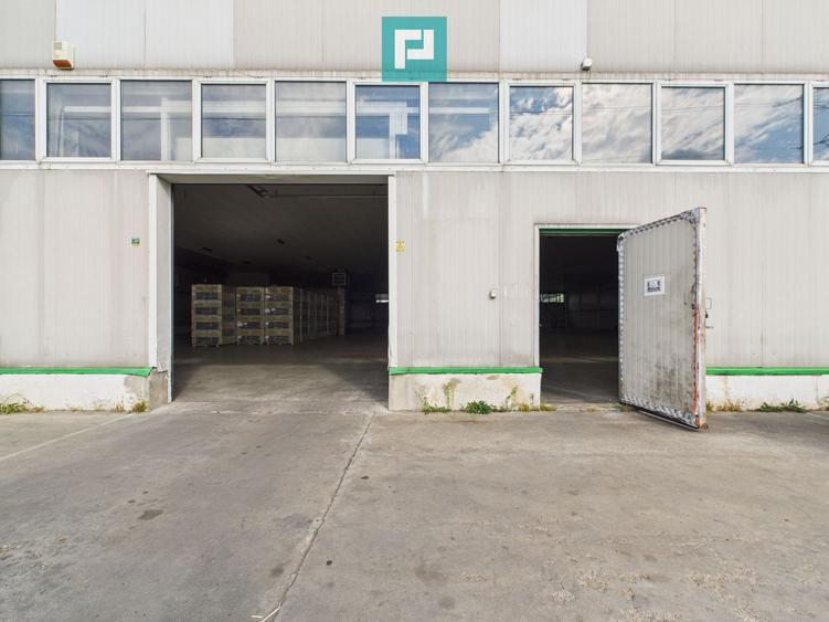 Spațiu depozitare 1.332 mp de închiriat în Ghiroda