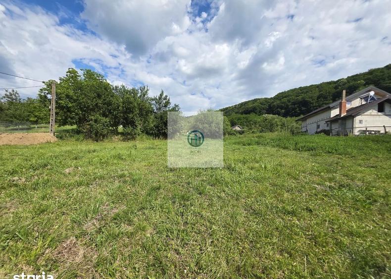 Teren intravilan de vânzare – 2340 mp – Pauliș, Somus jud. Hunedoara