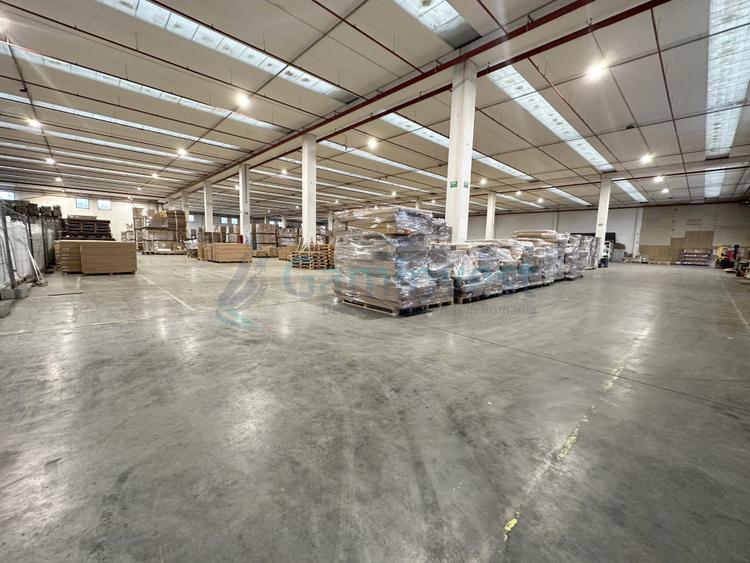 Hala pentru depozitare cu 2 rampe, Parcul Industrial Bors,Bihor