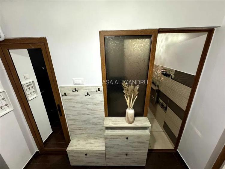 Apartament 1 camera de vanzare  in Alexandru cel Bun - 4