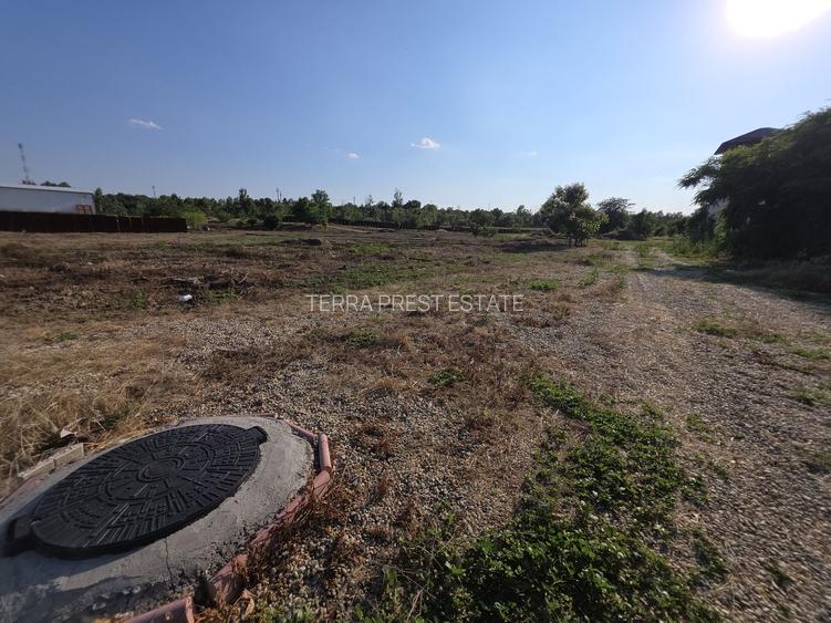 Green City I Proiect case insiruite I 3000 mp lotizat - 11