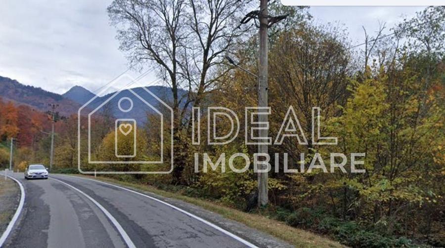 Teren intravilan 1.113 mp – deschidere la DN7C și Râul Bâlea – Cârțișoara