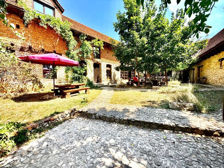 CASA THEA | INVESTIȚIE ÎN TURISM, GASTRONOMIE ȘI EXPERIENȚE | SOCOLARI