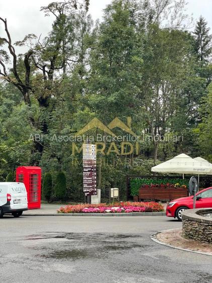 Vanzari Case / Vile SINAIA - 21