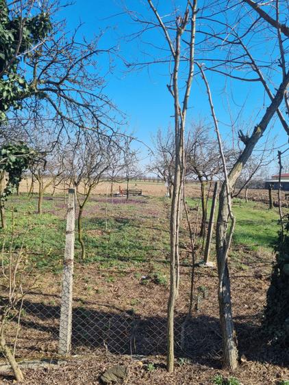 Teren intravilan de vânzare – Pădurea Noroieni