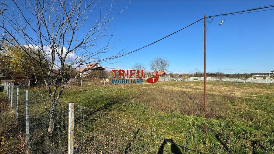 Teren de vânzare 1067 mp în Partoș - 2