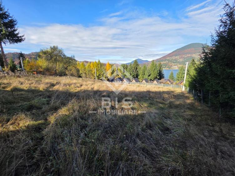 Teren de vanzare 12 ari - COLIBITA