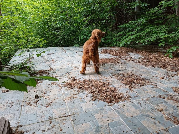 Vrancea - Nistoresti ! Vanzare ! Vila cu personalitate si potential turistic ! - 29