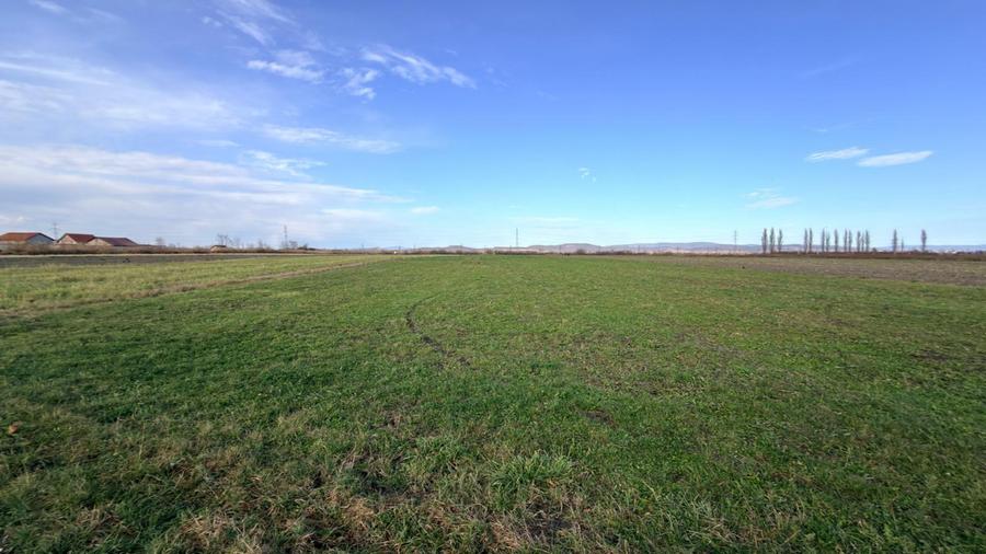 Teren Extravilan 15.000 mp Prejmer