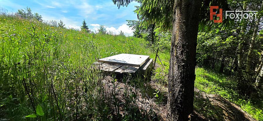 Teren intravilan pretabil constructii de vanzare in Costesti (Albac), Jud. Alba