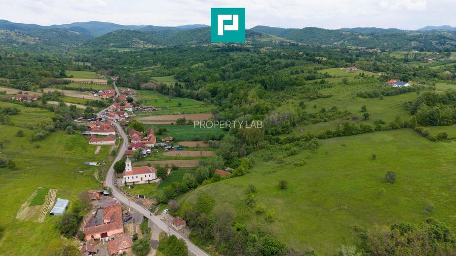 Proprietate de poveste pe Valea Mureșului, Lupești - 10