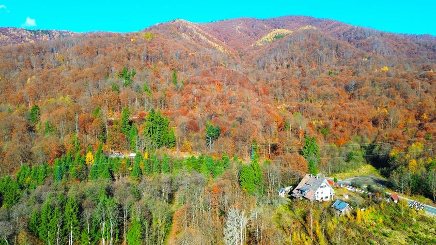 Cabana de vanzare in Maramures+ 29 ari de teren
