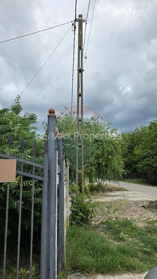 Domeniu rural, gospodarie/multifunctionala cu casa, livada, vie - 10