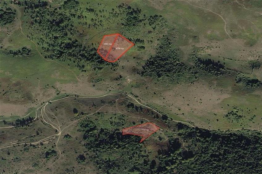 Portofoliu funciar de peste 10 hectare | Izbuc - Carpinet | Jud. Bihor