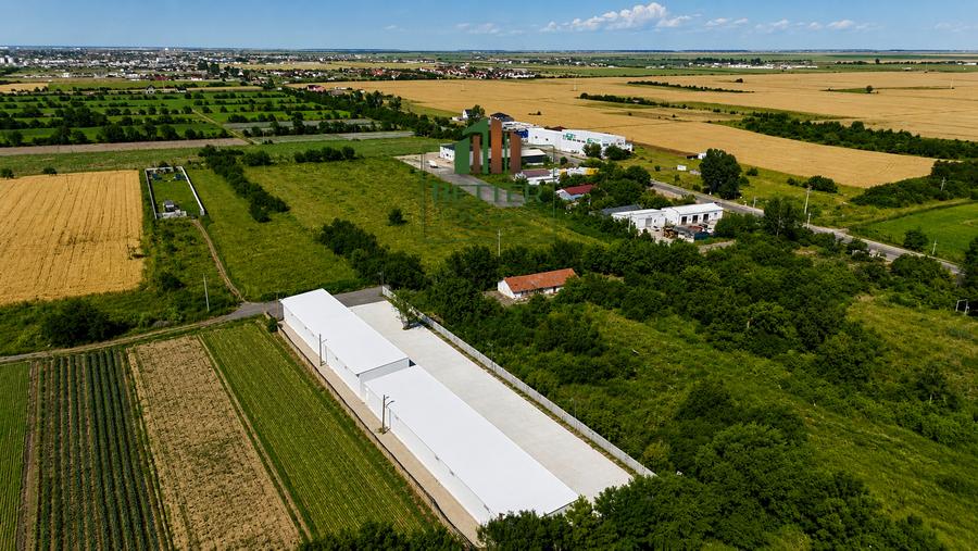 Hale Industriale Noi de Vânzare | 100 mp – 1000 mp | Vidra | Lângă Com. Berceni