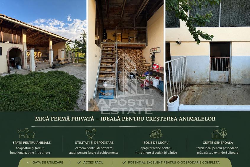 Vila cu piscina si mica ferma personala | 310 mp I Pădurea Verde - 12