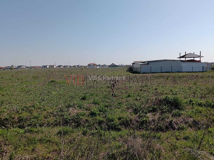 Terenuri de vânzare | Săcălaz| oportunități investiționale