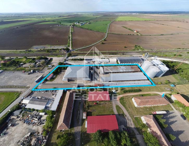 SPATIU INDUSTRIAL cu 3 hale si depozite acoperite