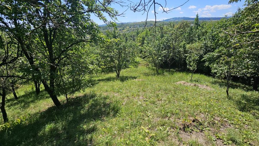 0 % comision, Lot format din 3 parcele, zona Antonio Gaudi-Borhanci