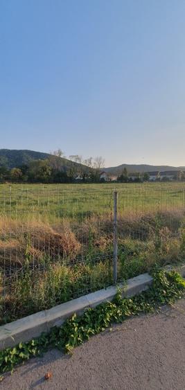 5200 sau 2600 mp teren vanzare,direct proprietar, parcelabil, apropiere Arinis