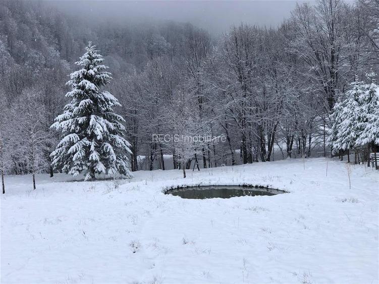 Vila premium cu lac privat si panorama catre Masivul Postavaru | Cheile Rasnoave - 9