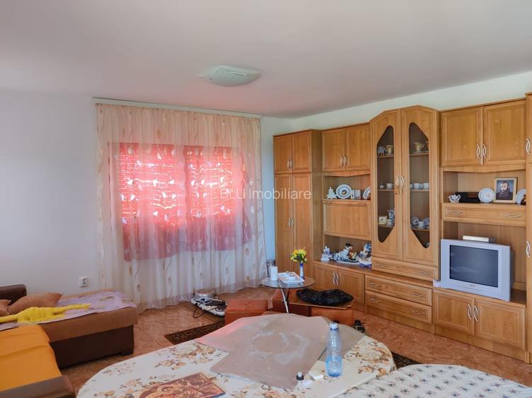 Casa individuala cu teren de 5000 mp, Deusu - 5