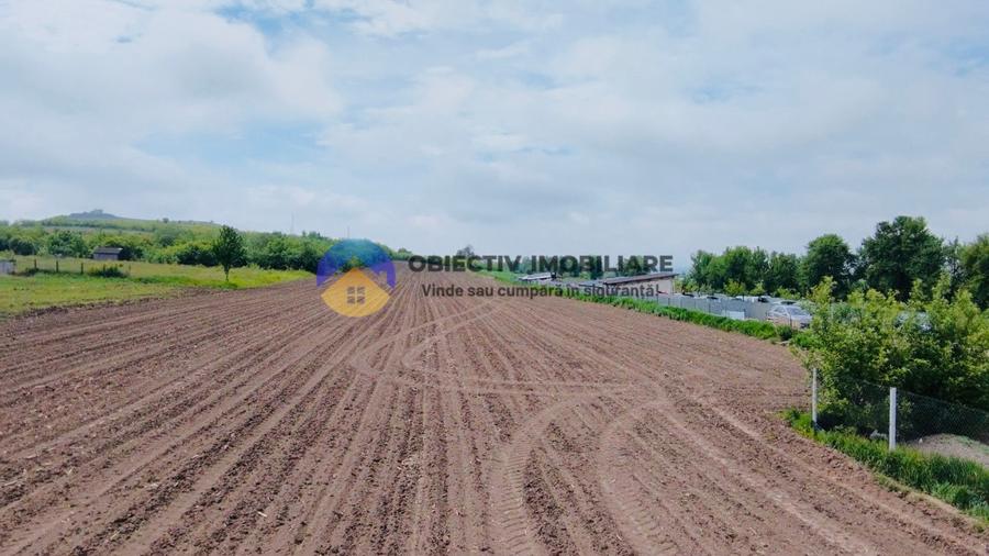 Teren- Com. Stefan cel Mare- jud. Neamt